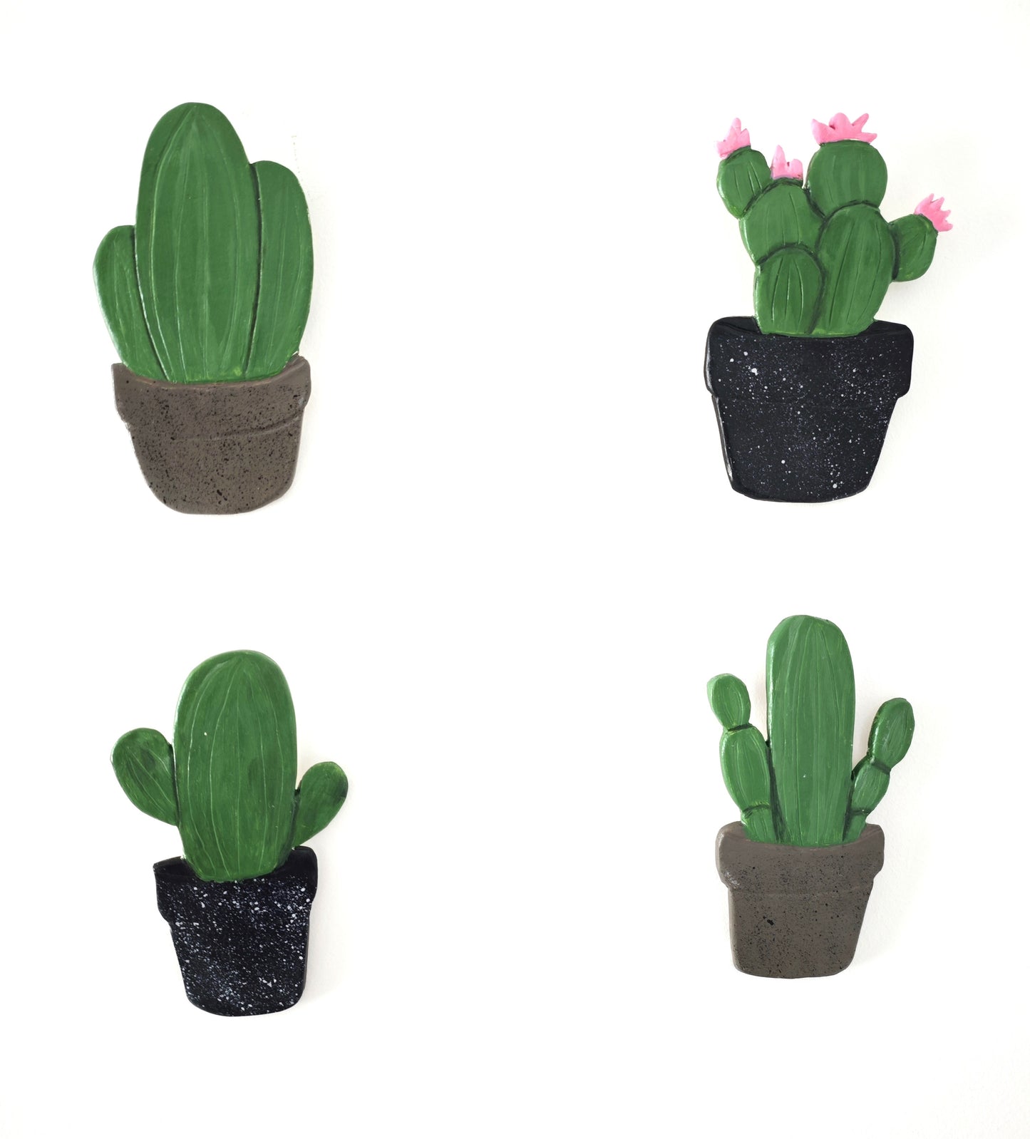 Kit cactus