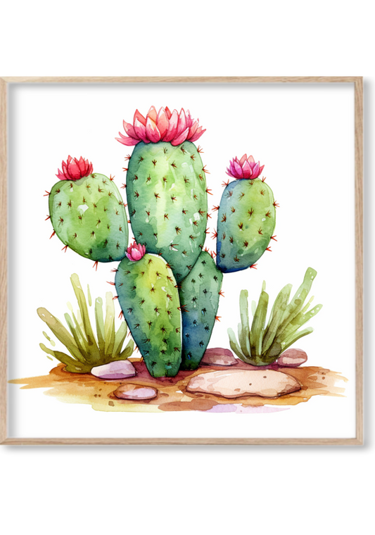 Cactus